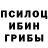 Псилоцибиновые грибы ЛСД Aksana Nestsiarovich