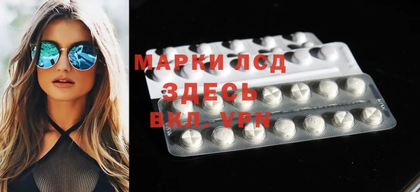 apvp Вяземский