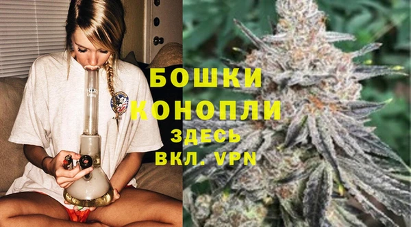 apvp Вяземский