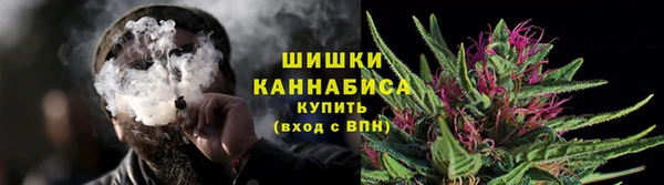 apvp Вяземский