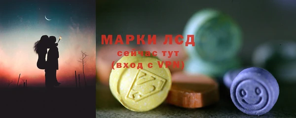 apvp Вяземский