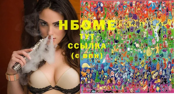 apvp Вяземский