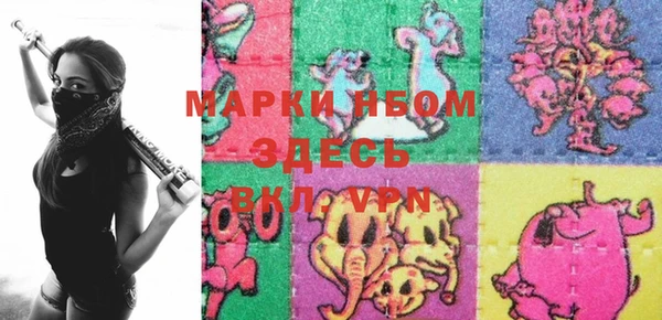 apvp Вяземский
