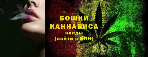 apvp Вяземский