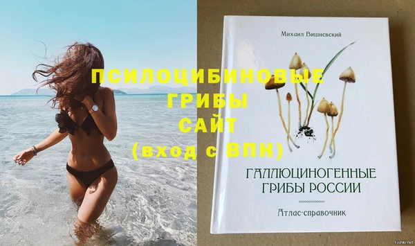 сатива Вязьма