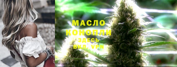 apvp Вяземский
