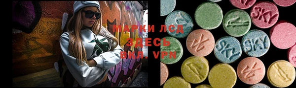 apvp Вяземский