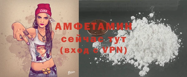 apvp Вяземский