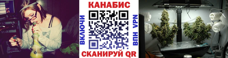Бошки Шишки VHQ  Дмитриев 
